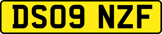 DS09NZF
