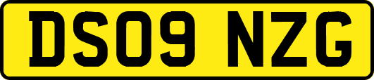 DS09NZG