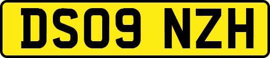 DS09NZH