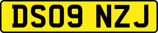 DS09NZJ