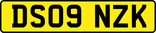 DS09NZK