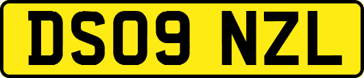 DS09NZL