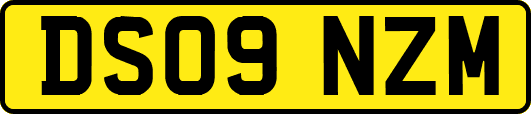 DS09NZM