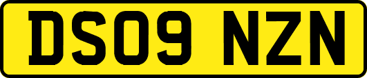 DS09NZN
