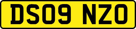 DS09NZO