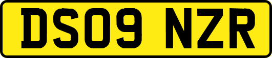 DS09NZR