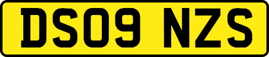 DS09NZS