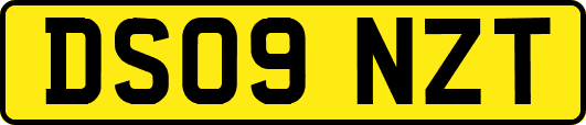 DS09NZT