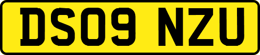 DS09NZU
