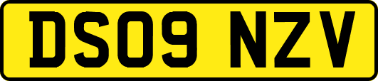 DS09NZV