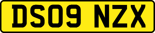 DS09NZX