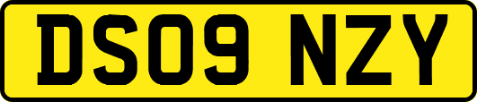 DS09NZY