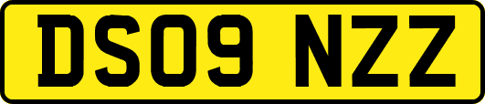 DS09NZZ
