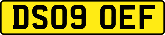 DS09OEF