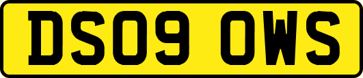 DS09OWS