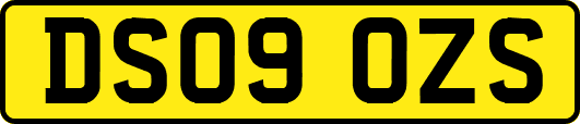 DS09OZS