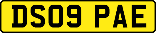 DS09PAE