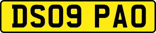 DS09PAO