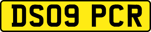 DS09PCR