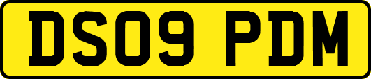DS09PDM