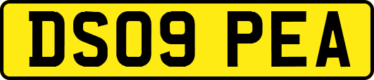 DS09PEA