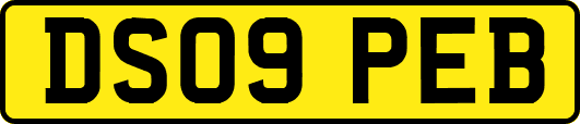DS09PEB