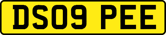 DS09PEE