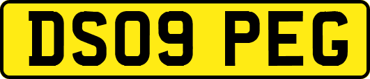 DS09PEG