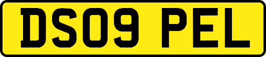 DS09PEL