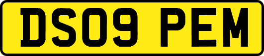 DS09PEM