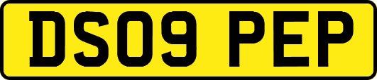 DS09PEP