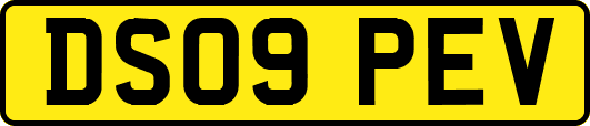DS09PEV