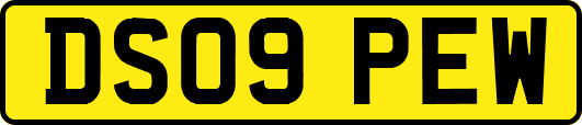 DS09PEW