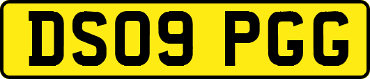 DS09PGG