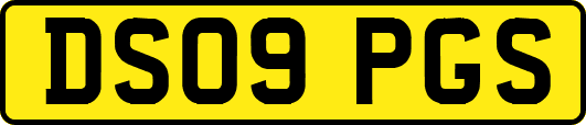 DS09PGS