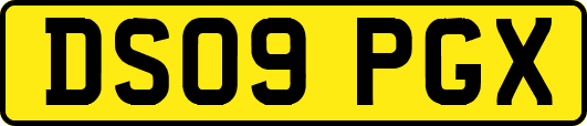DS09PGX