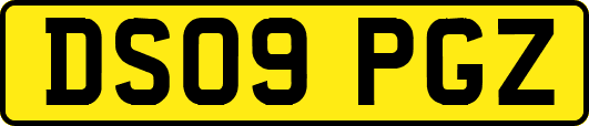 DS09PGZ