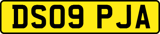 DS09PJA