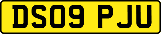DS09PJU