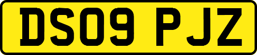 DS09PJZ