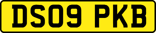 DS09PKB