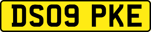 DS09PKE