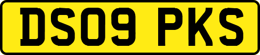 DS09PKS