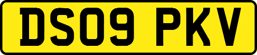 DS09PKV