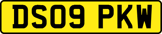 DS09PKW