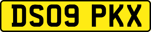 DS09PKX