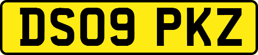 DS09PKZ