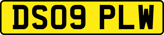 DS09PLW