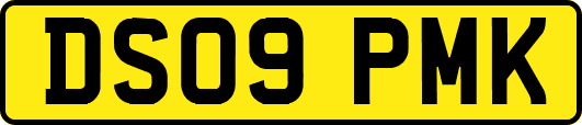 DS09PMK
