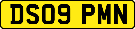 DS09PMN